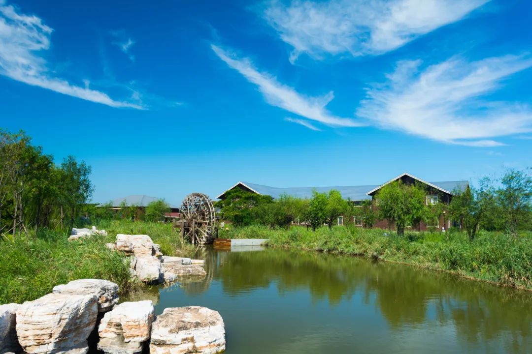 感恩回馈丨低至68元,这个夏天就这么玩......(图34) 图片